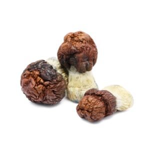 Bluey Vuitton Magic Mushrooms